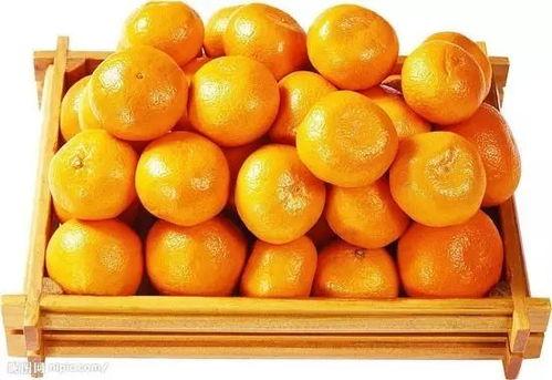 娱乐吃瓜橘子精,橘子精的吃瓜传奇