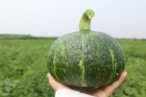 栗子娱乐吃瓜,揭秘娱乐圈最新吃瓜事件，带你领略明星幕后故事